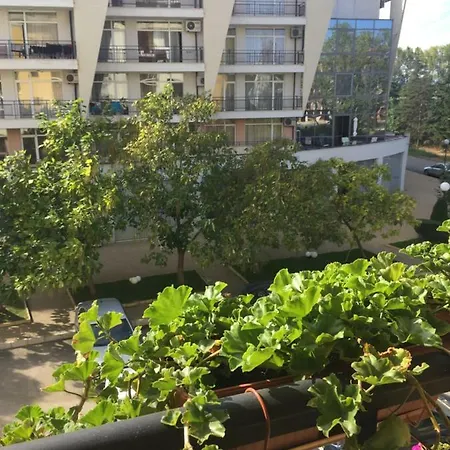 Apartman Blue Summer