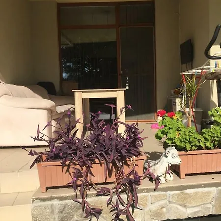 Apartman Blue Summer Napospart